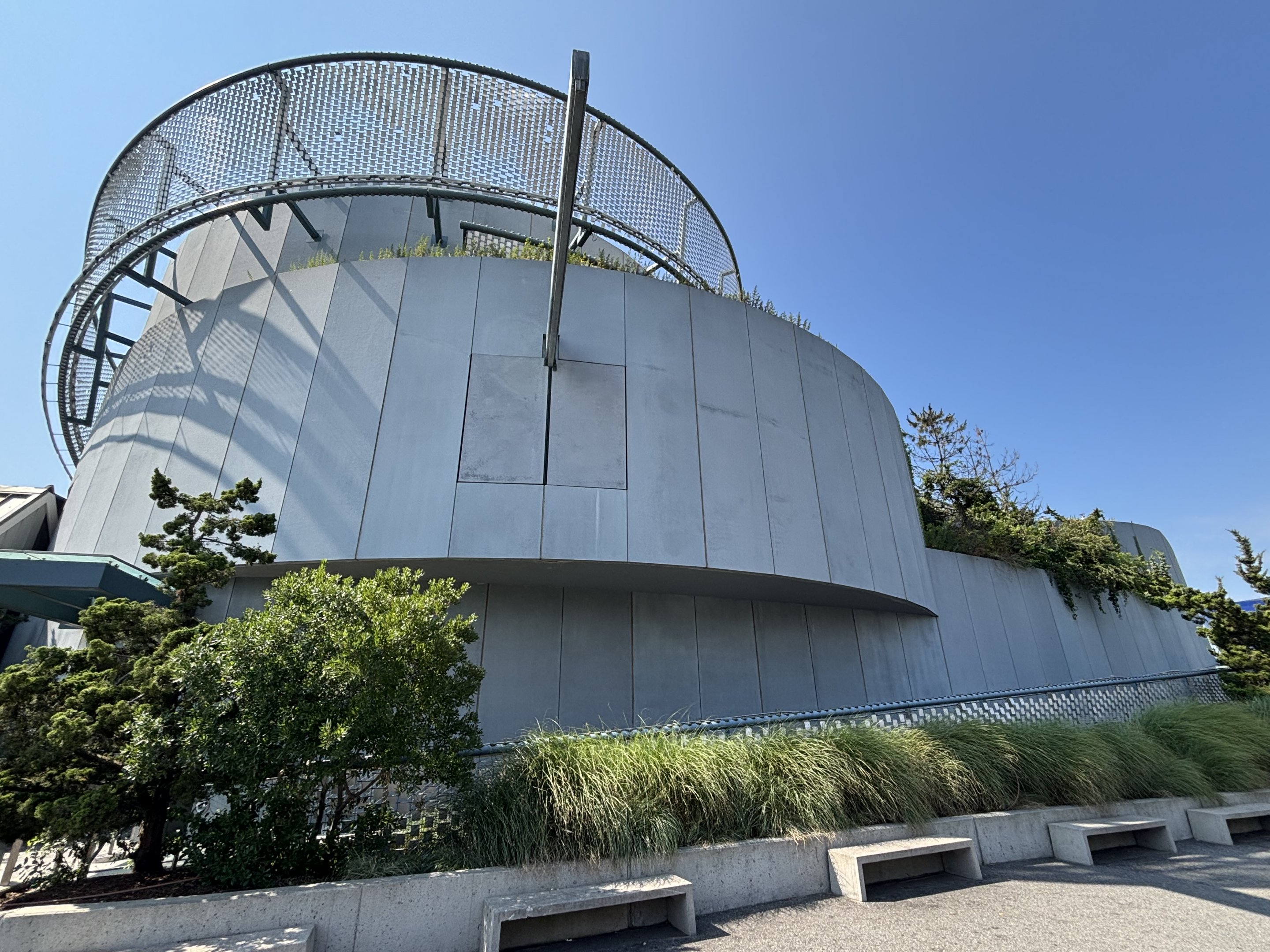 Ocean Wonders: Sharks!