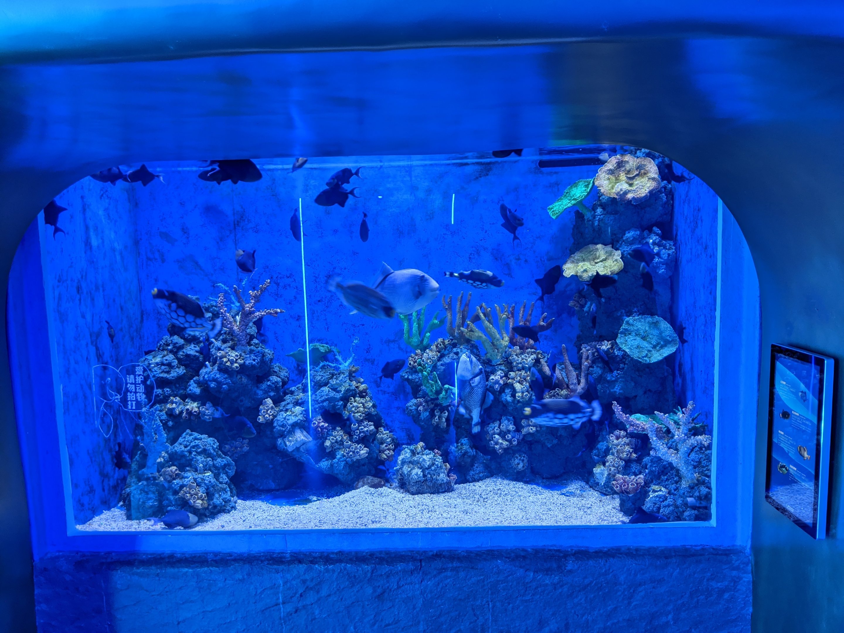 Ocean World (Guangzhou)