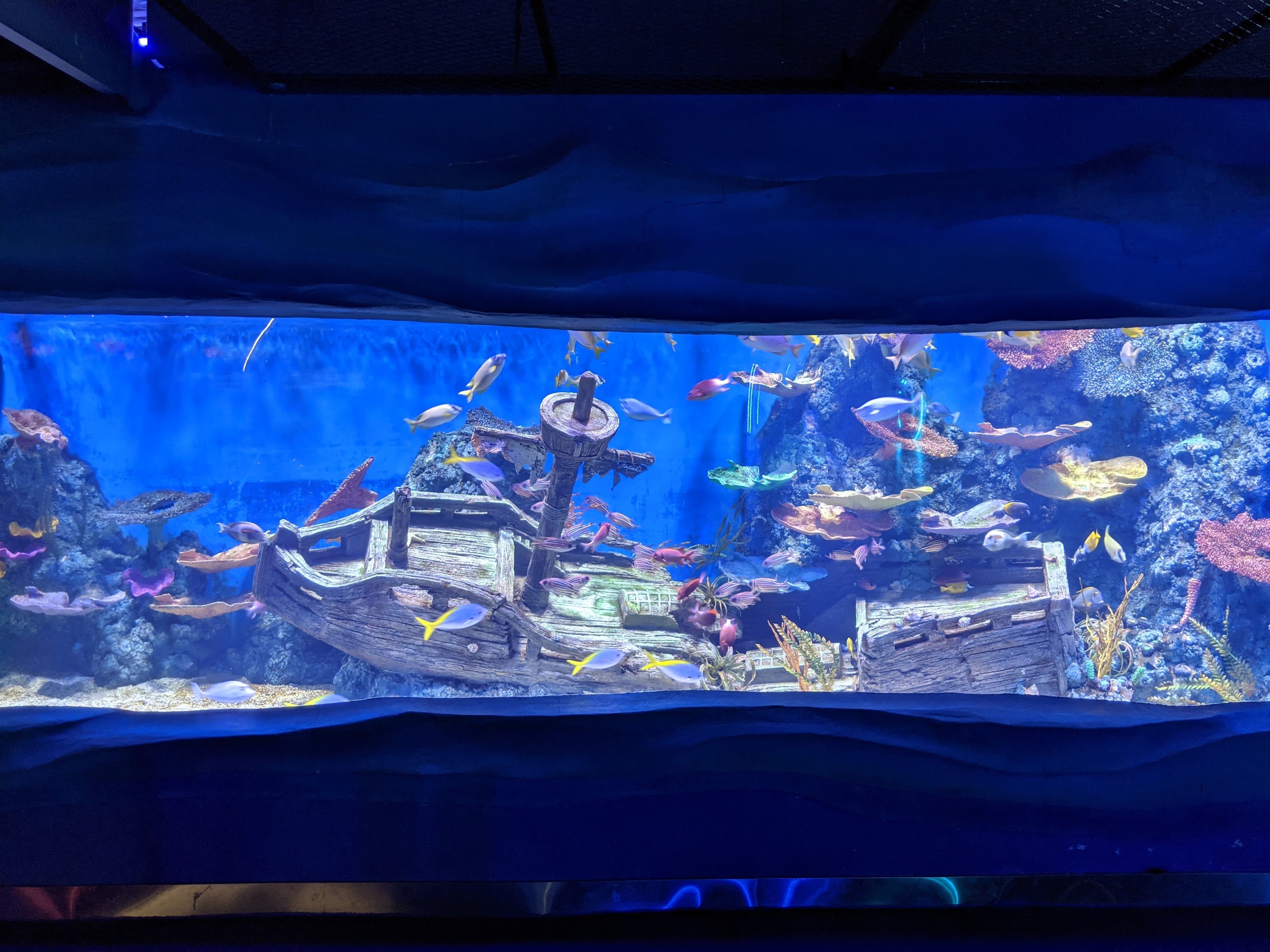 Ocean World (Guangzhou)