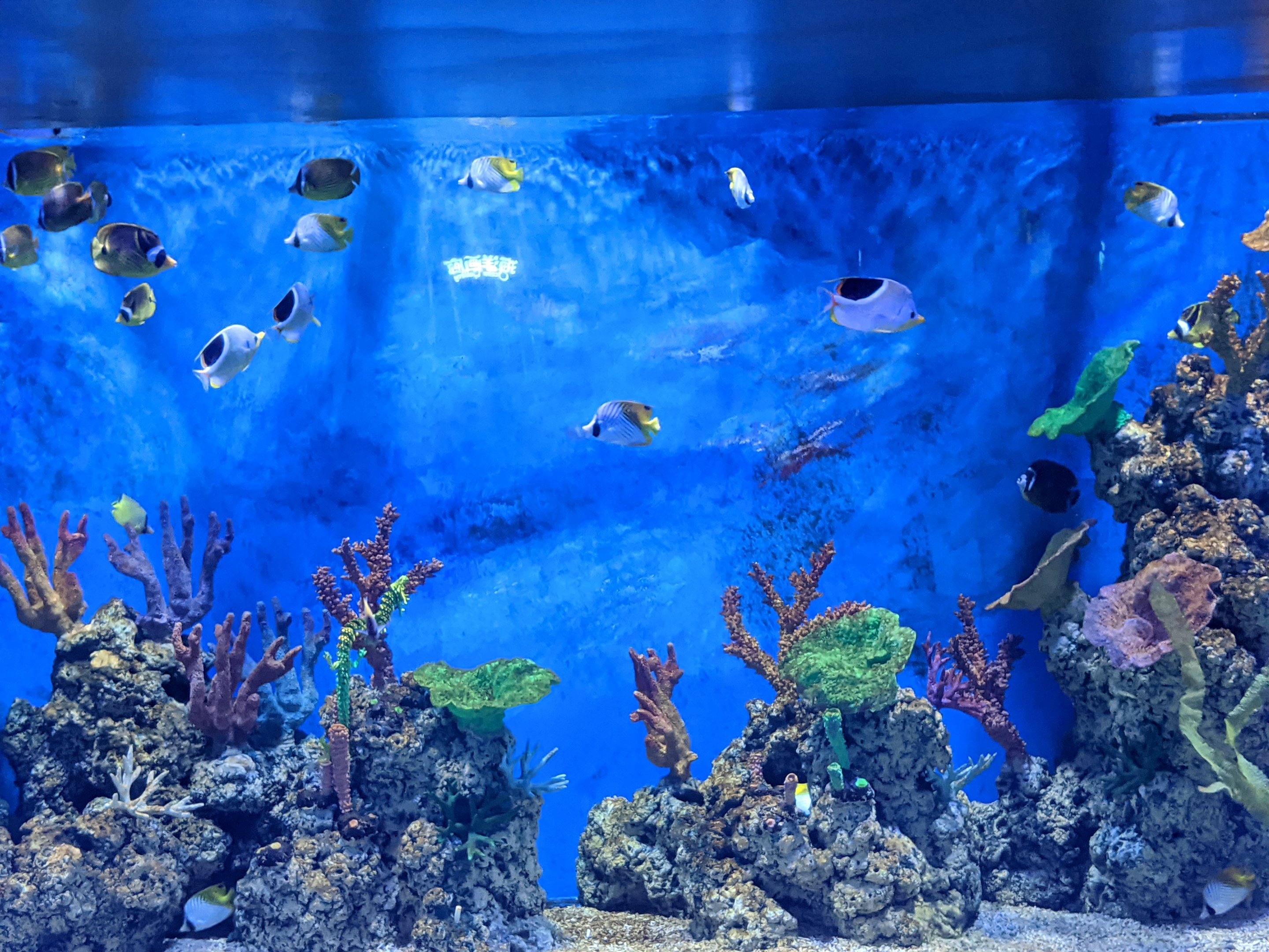 Ocean World (Guangzhou)