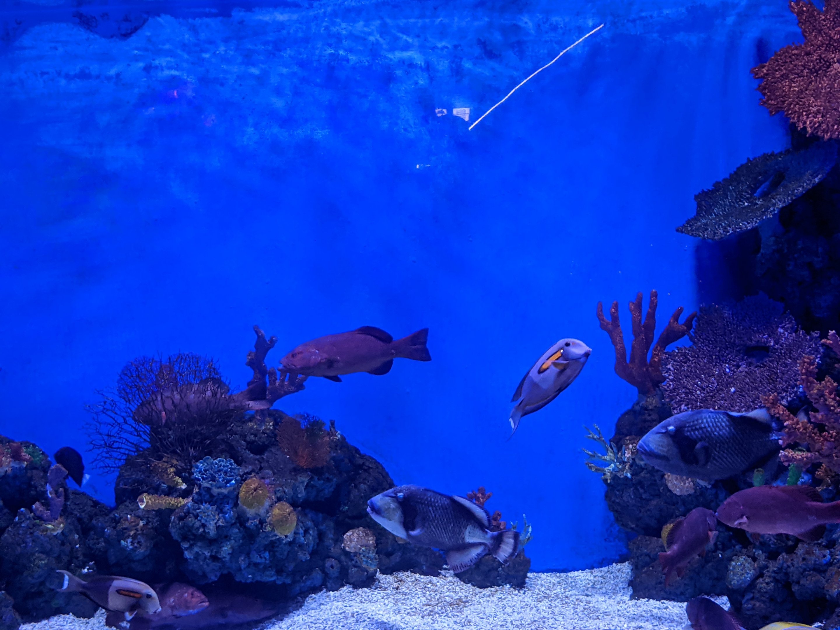 Ocean World (Guangzhou)