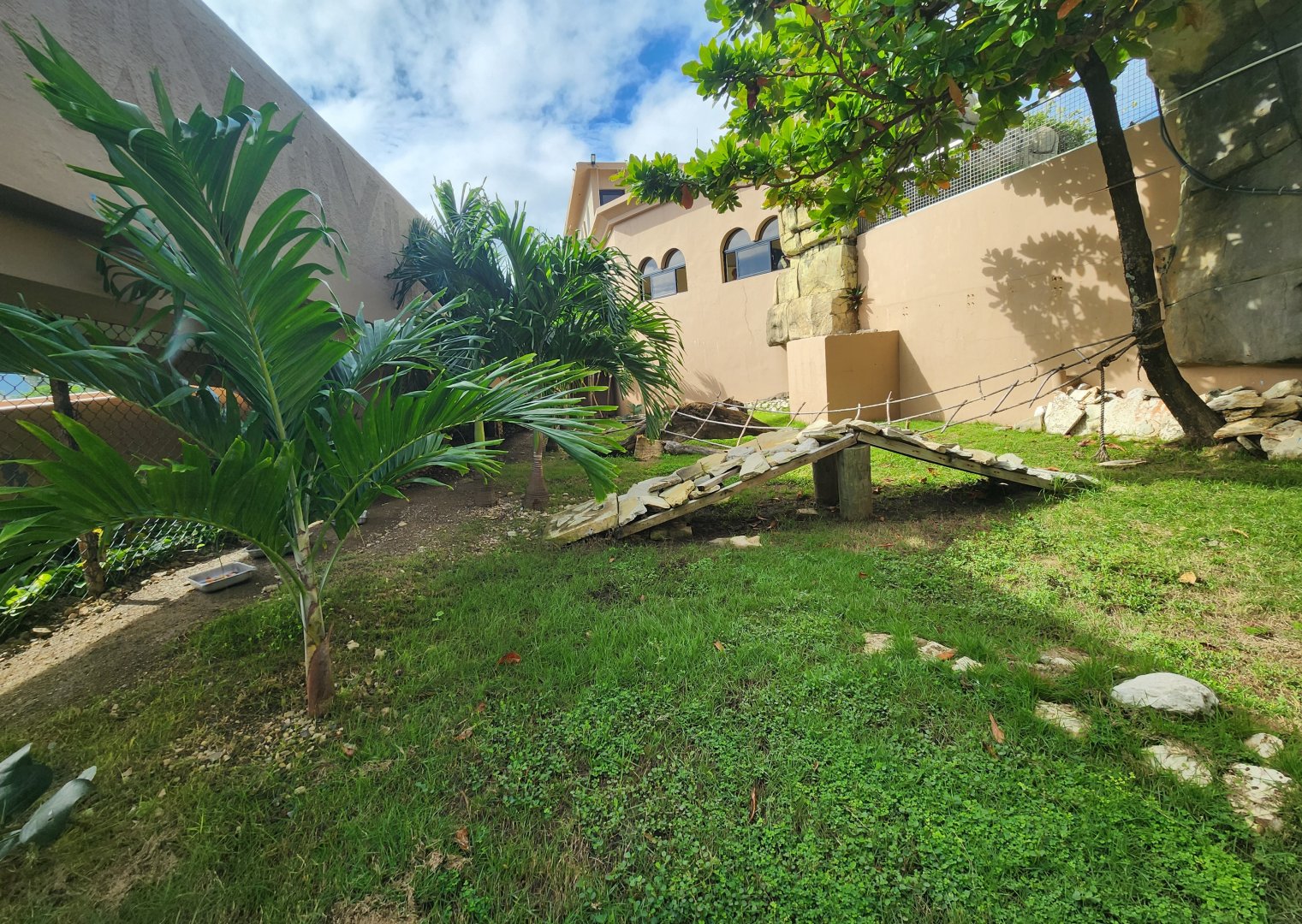 Ocean World Puerto Plata - Rhinoceros Iguana exhibit