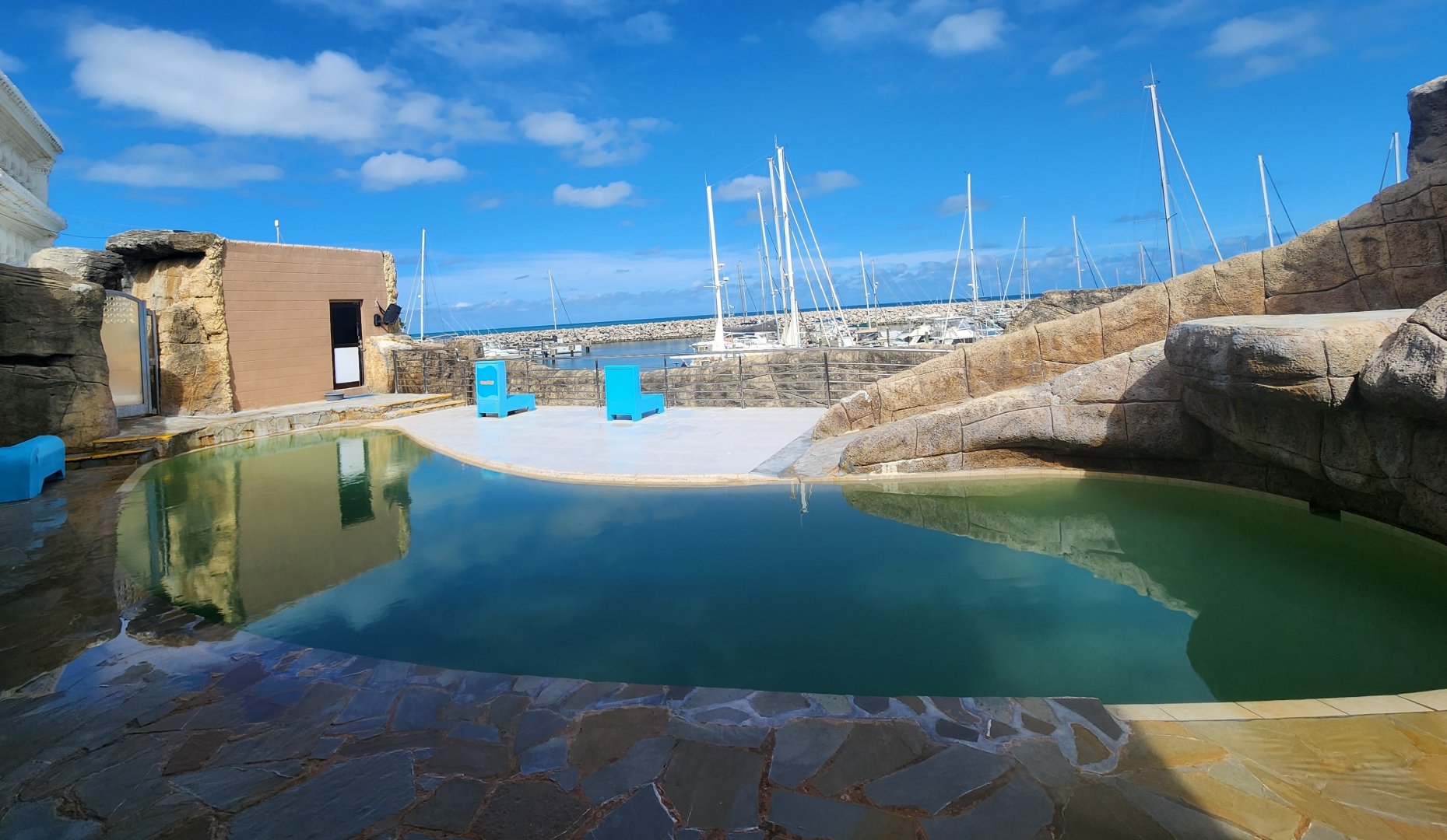 Ocean World Puerto Plata - Sea lion stage exhibit