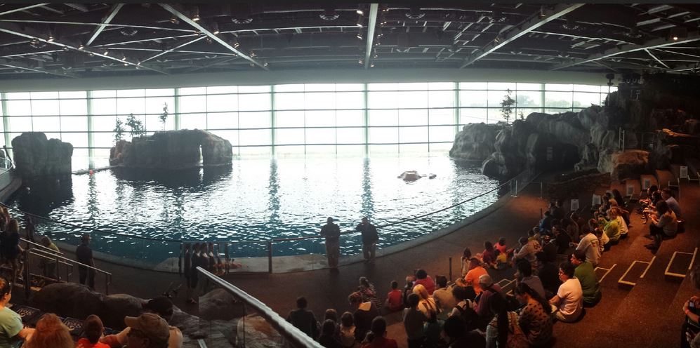 Oceanarium - Aquatic Show - One World