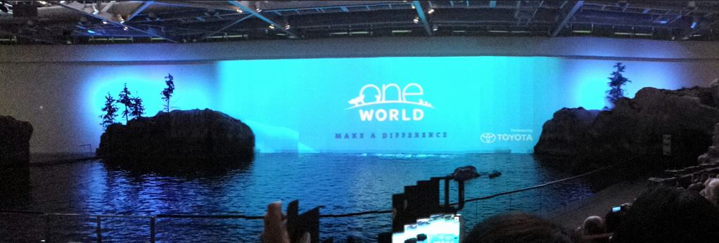 Oceanarium - Aquatic Show - One World