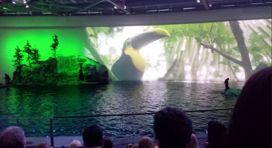 Oceanarium - Aquatic Show - One World