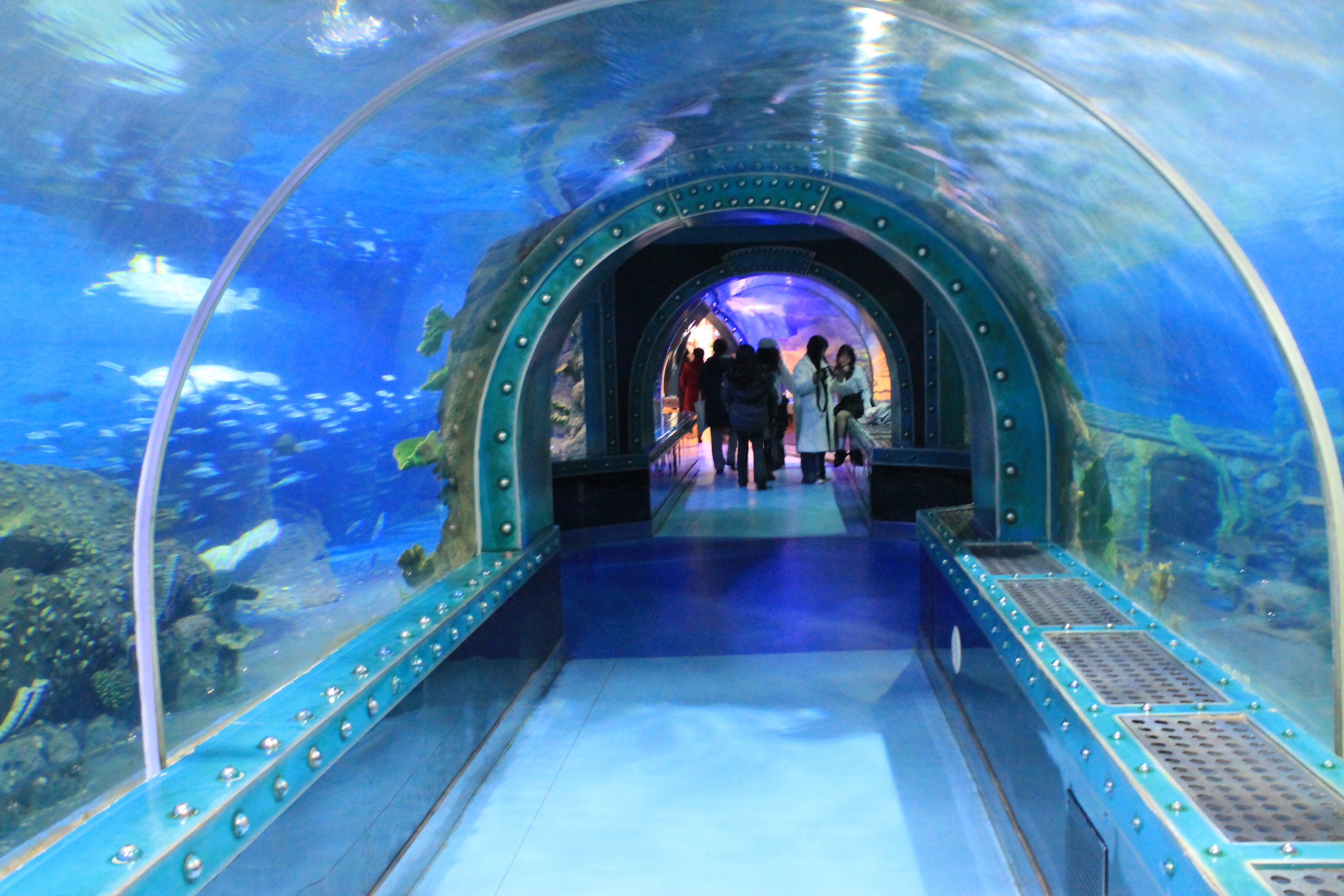 Oceanarium at Fantasy Aquarium, Xi'an