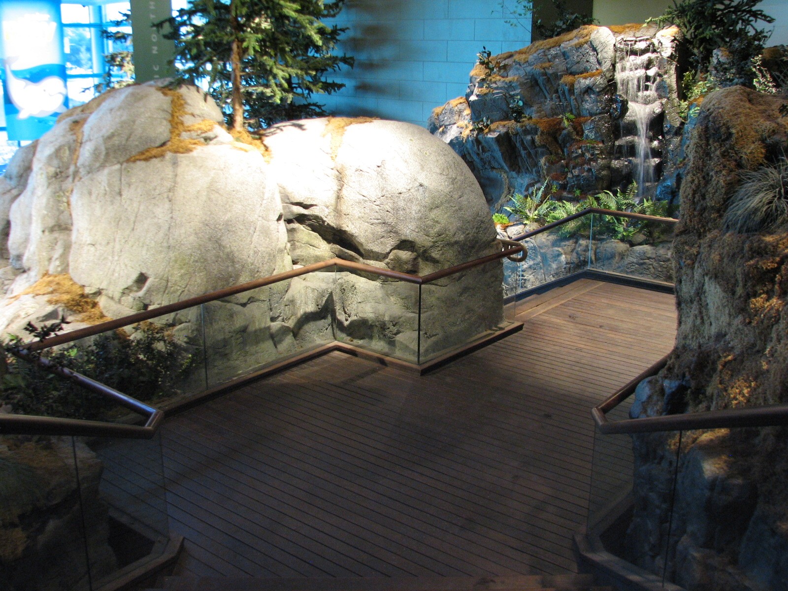 Oceanarium - Beluga Trail