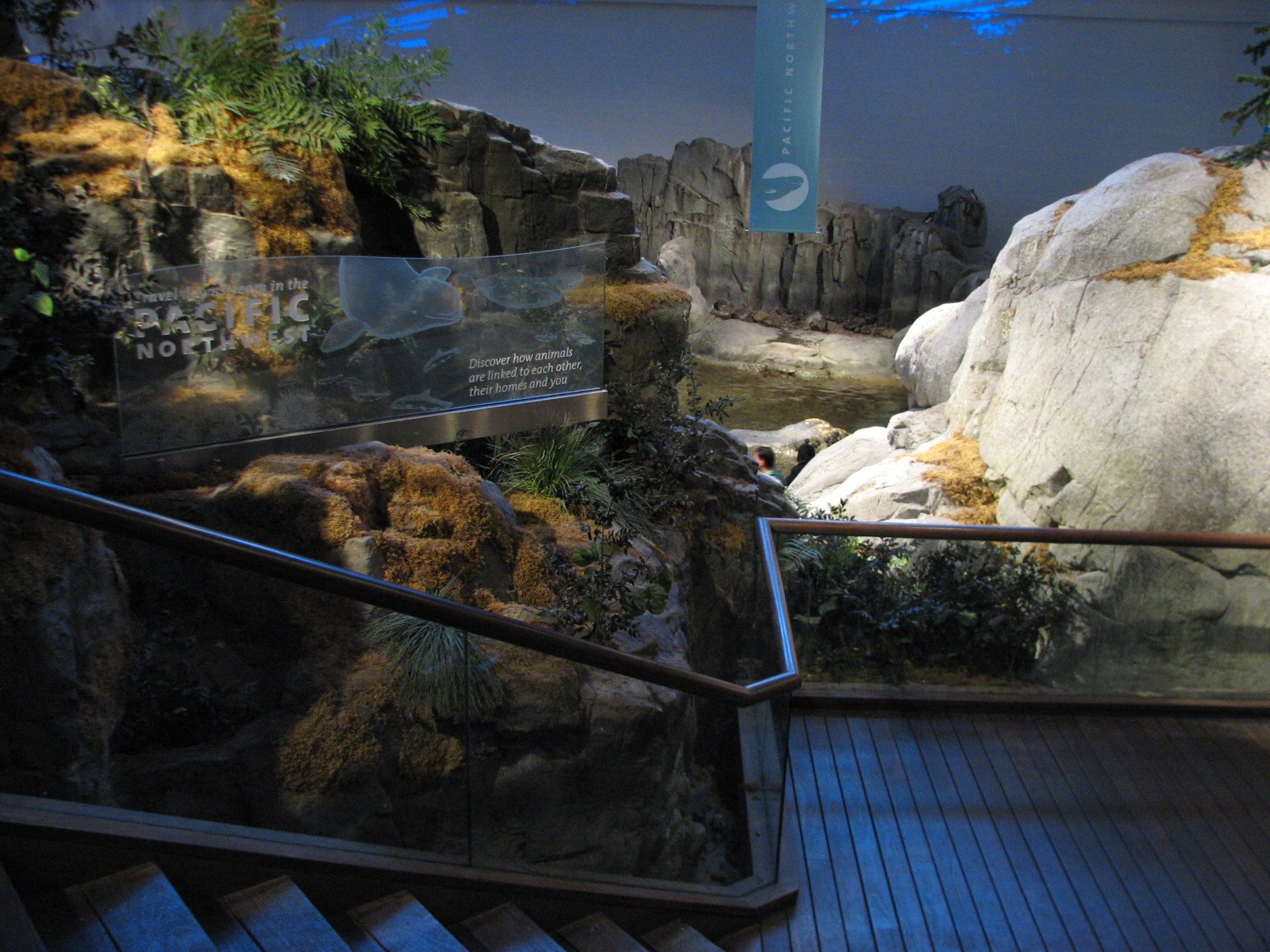 Oceanarium - Beluga Trail