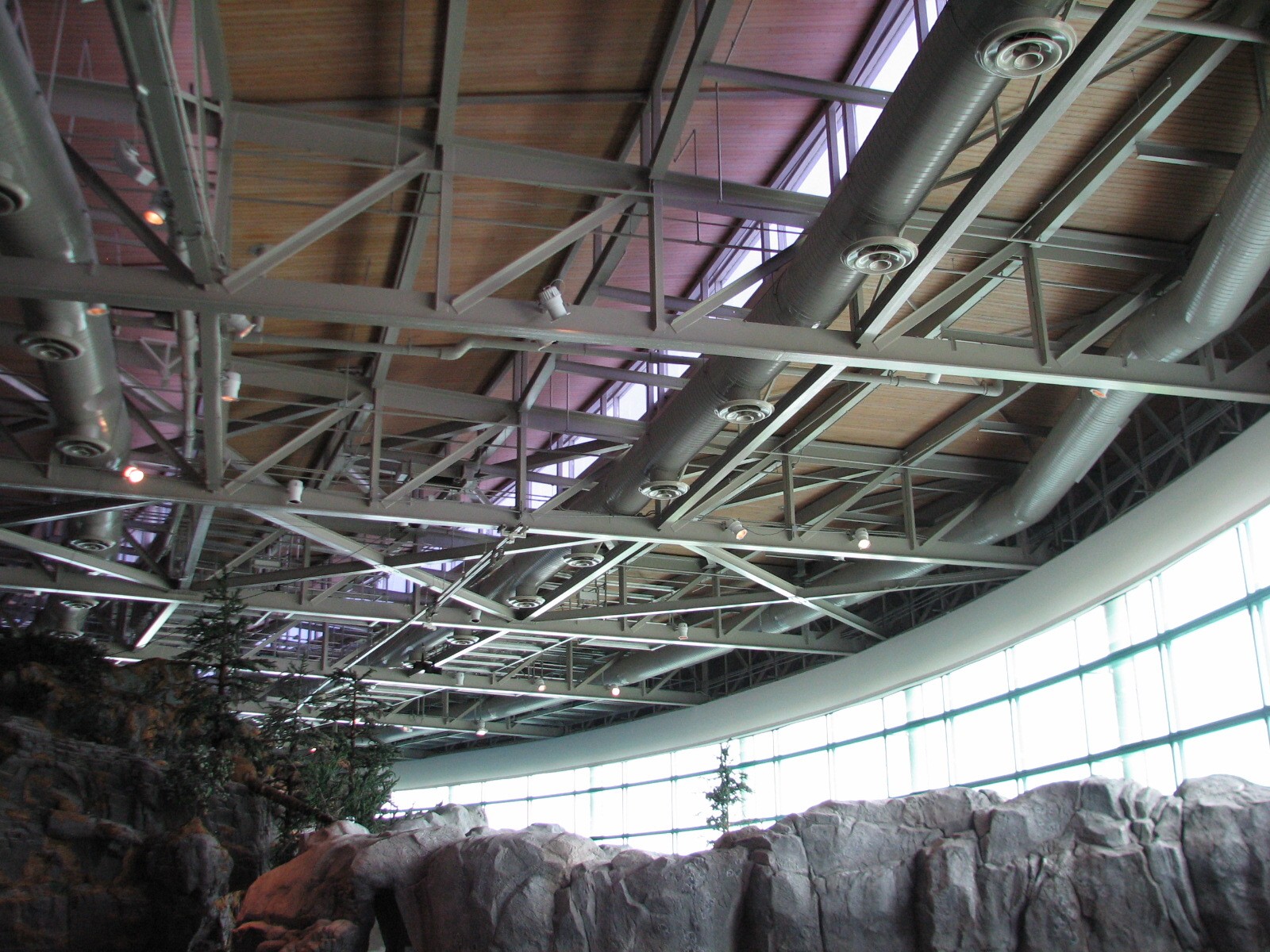 Oceanarium - Beluga Whale Exhibit - Ceiling