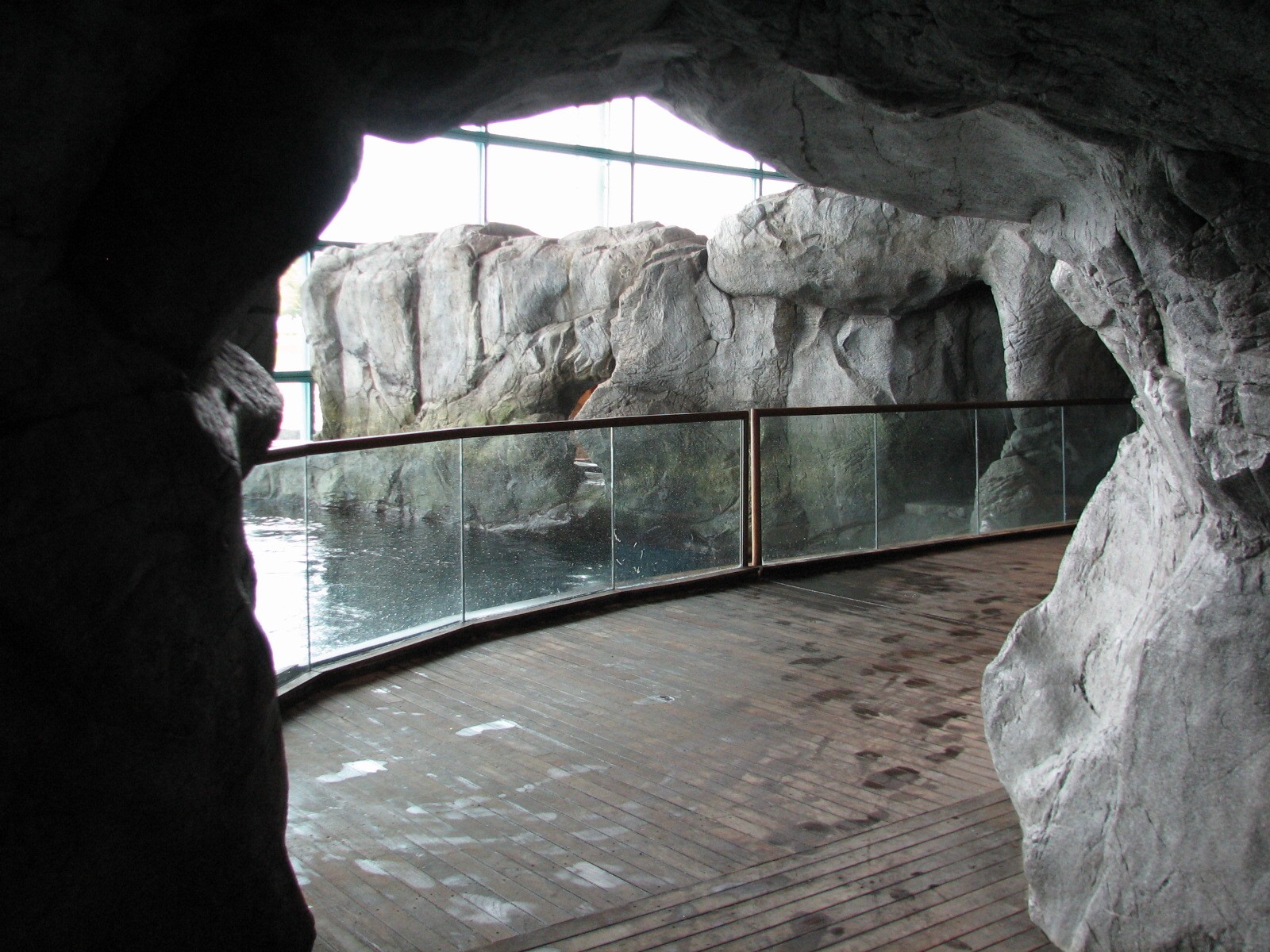 Oceanarium - Beluga Whale Exhibit Holding Area