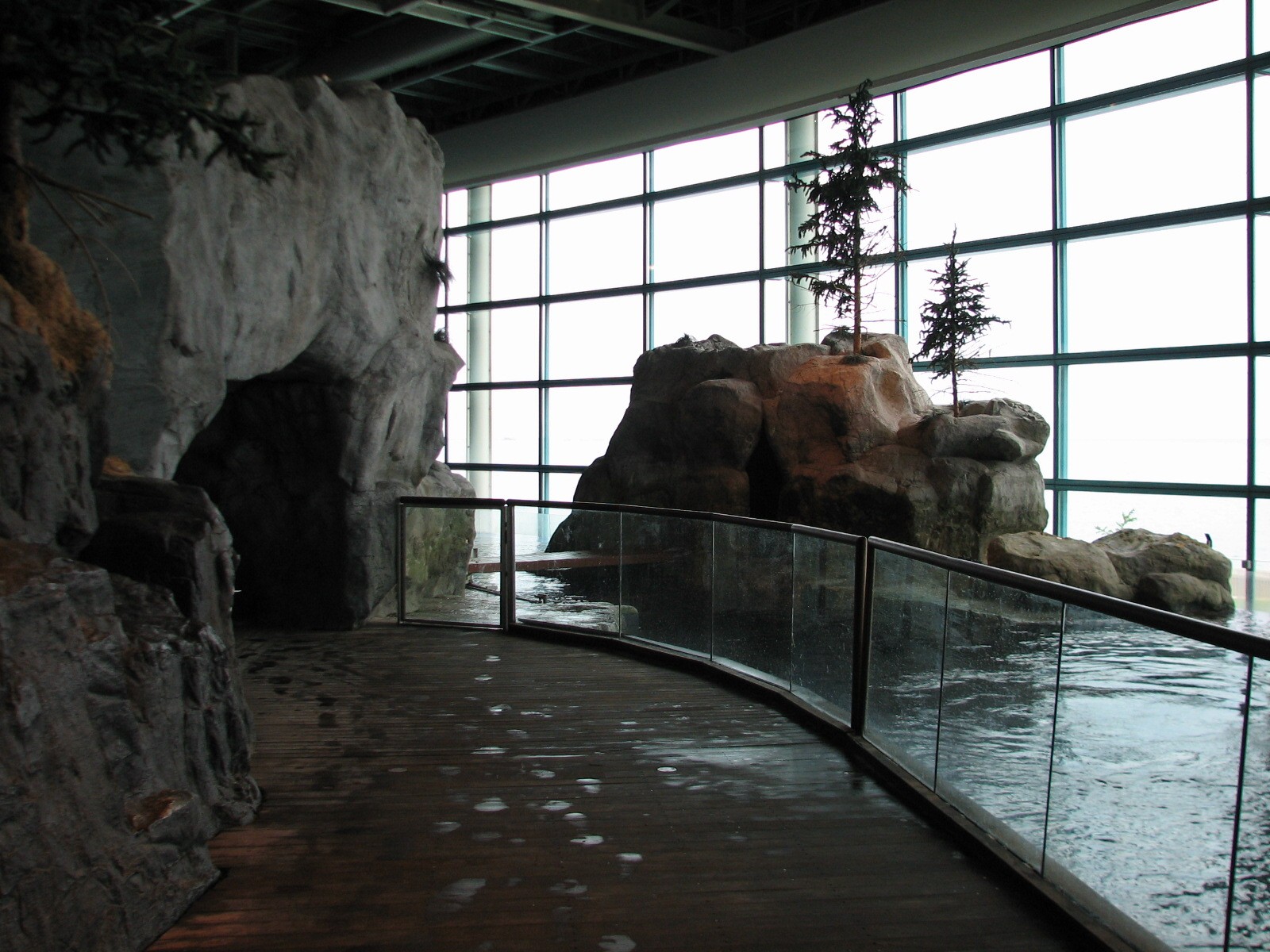 Oceanarium - Beluga Whale Exhibit Holding Area