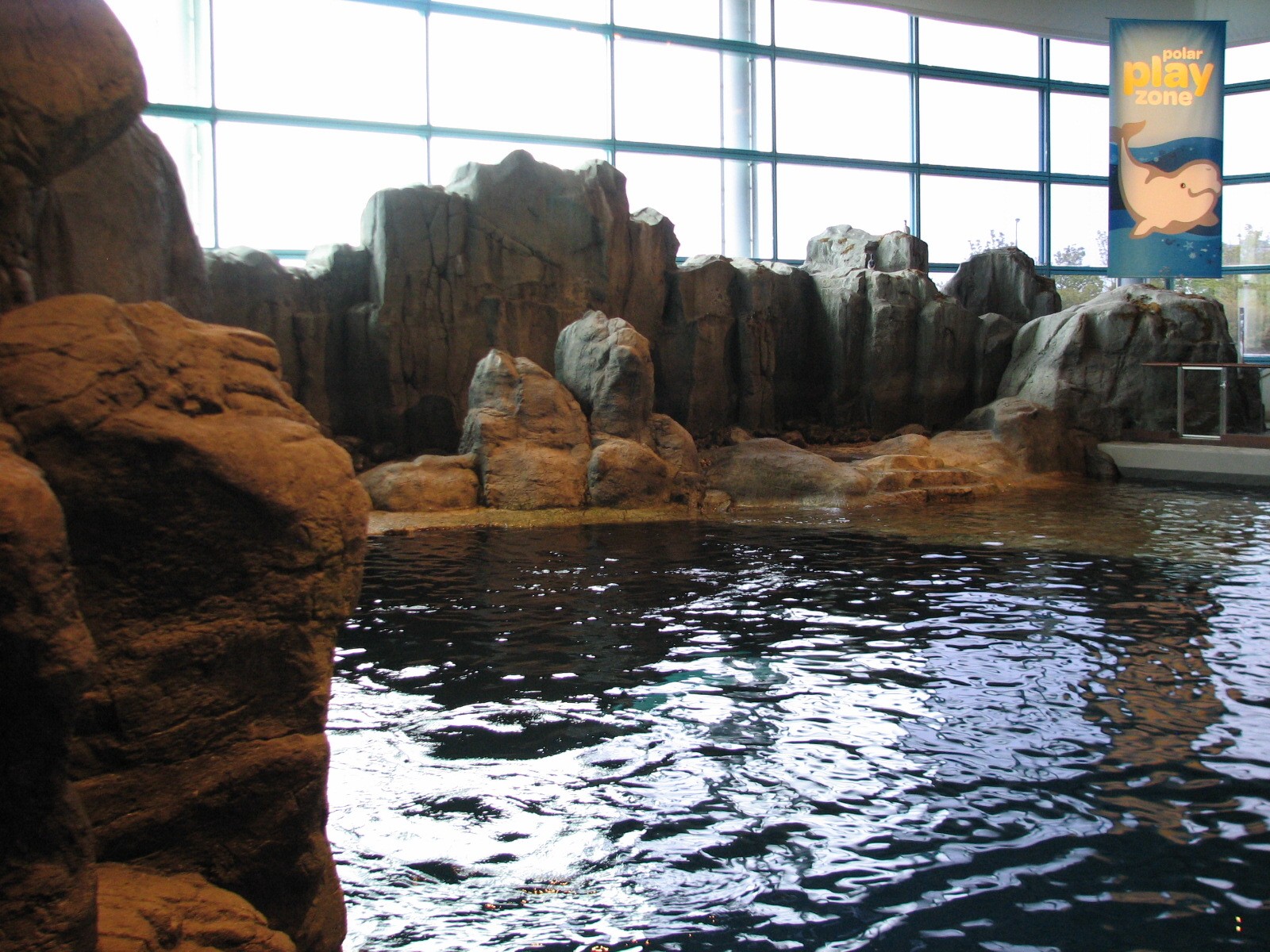 Oceanarium - Beluga Whale Exhibit