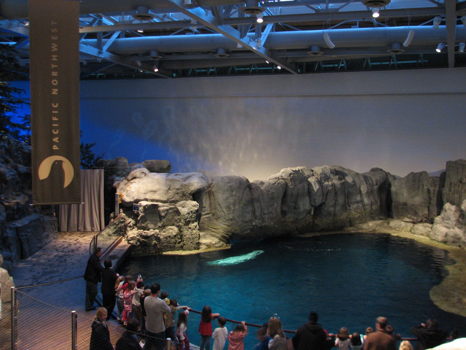 Oceanarium - Beluga Whale Exhibit