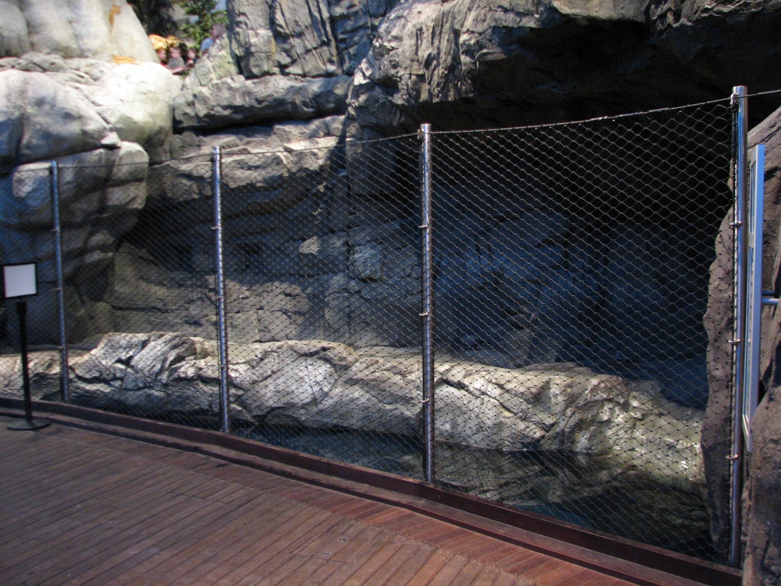 Oceanarium - California Sea Lion Exhibit