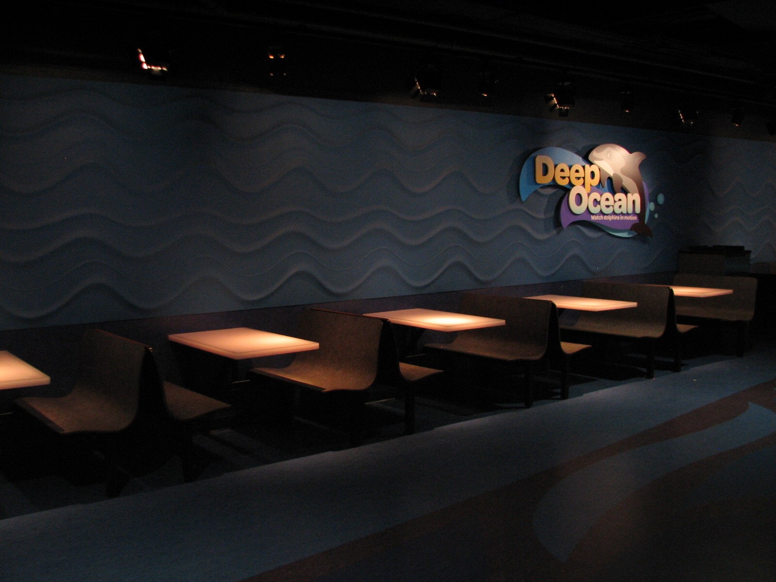 Oceanarium - Deep Ocean - Cafe