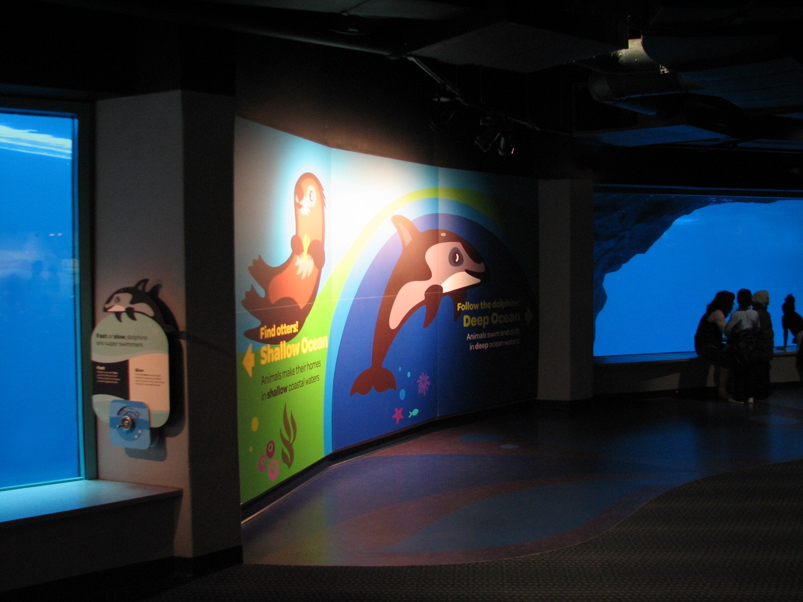 Oceanarium - Deep Ocean - Pacific White-sided Dolphin Underwater Viewing Ar