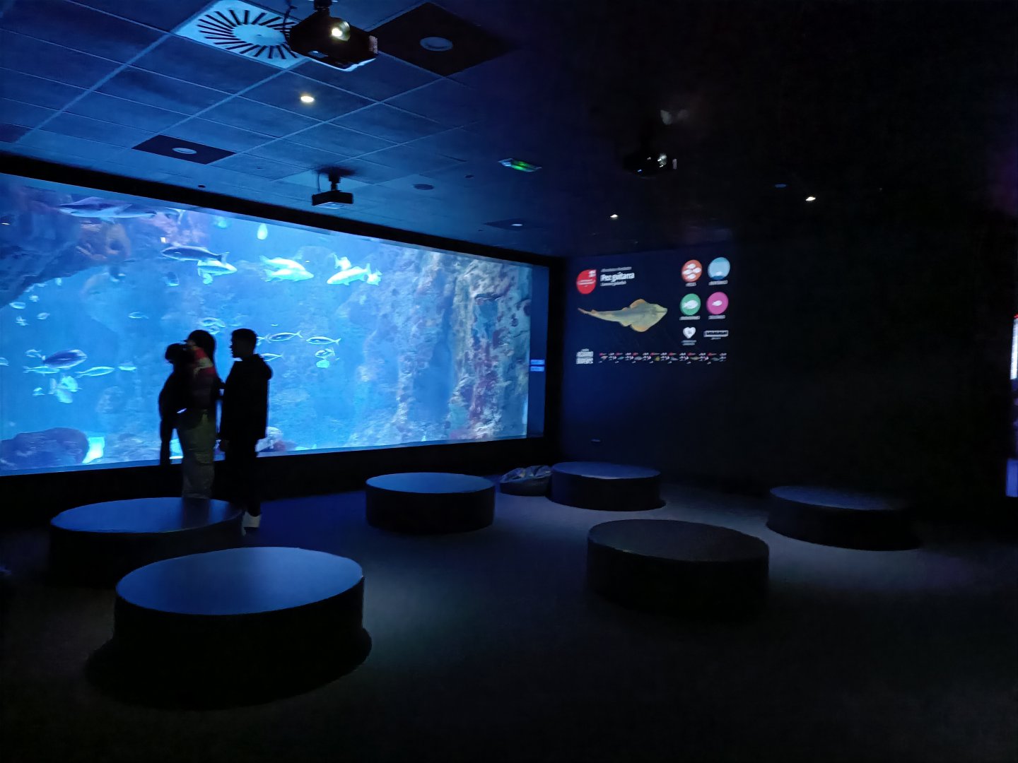 Oceanarium exhibit - Bioparc Acuario de Gijón