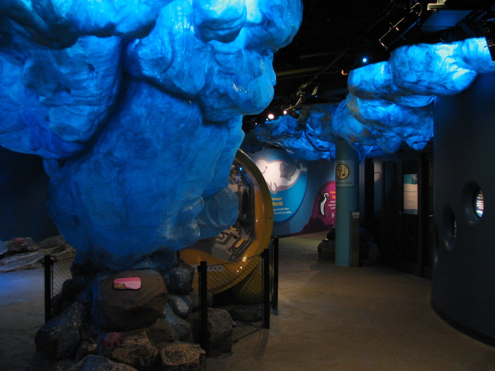 Oceanarium - Icy North - Play Area