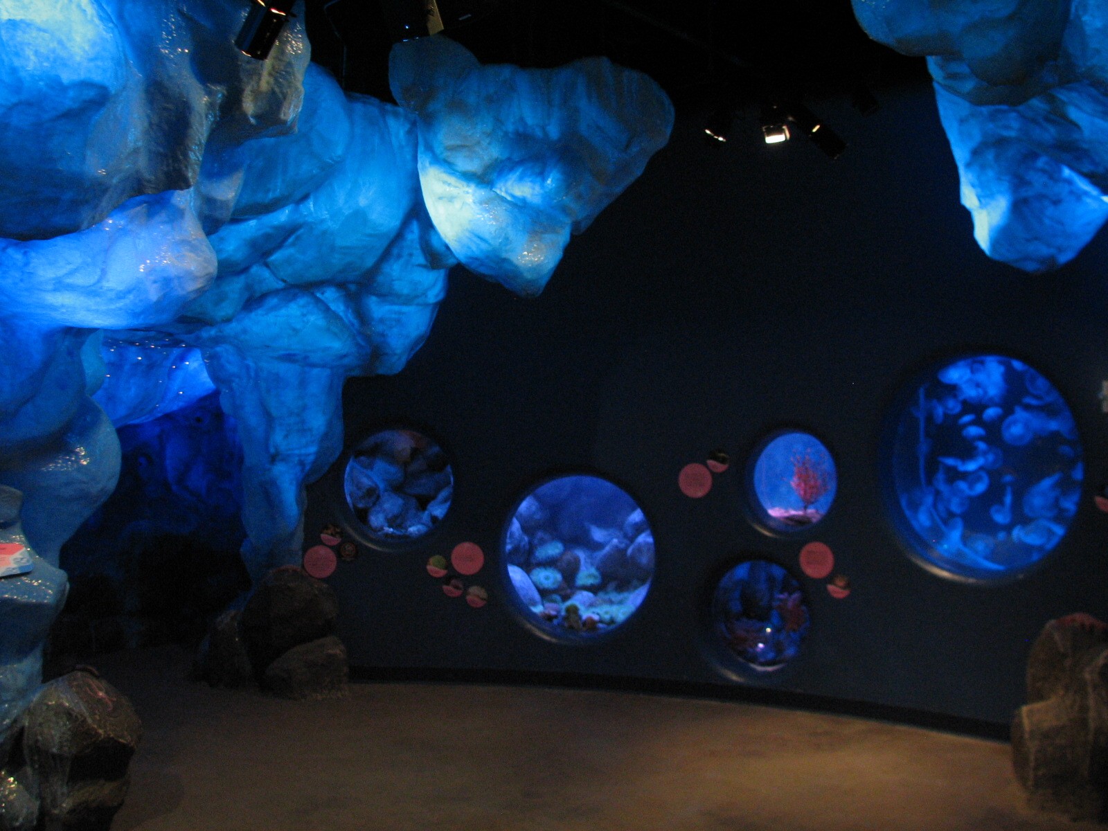 Oceanarium - Icy North - Play Area