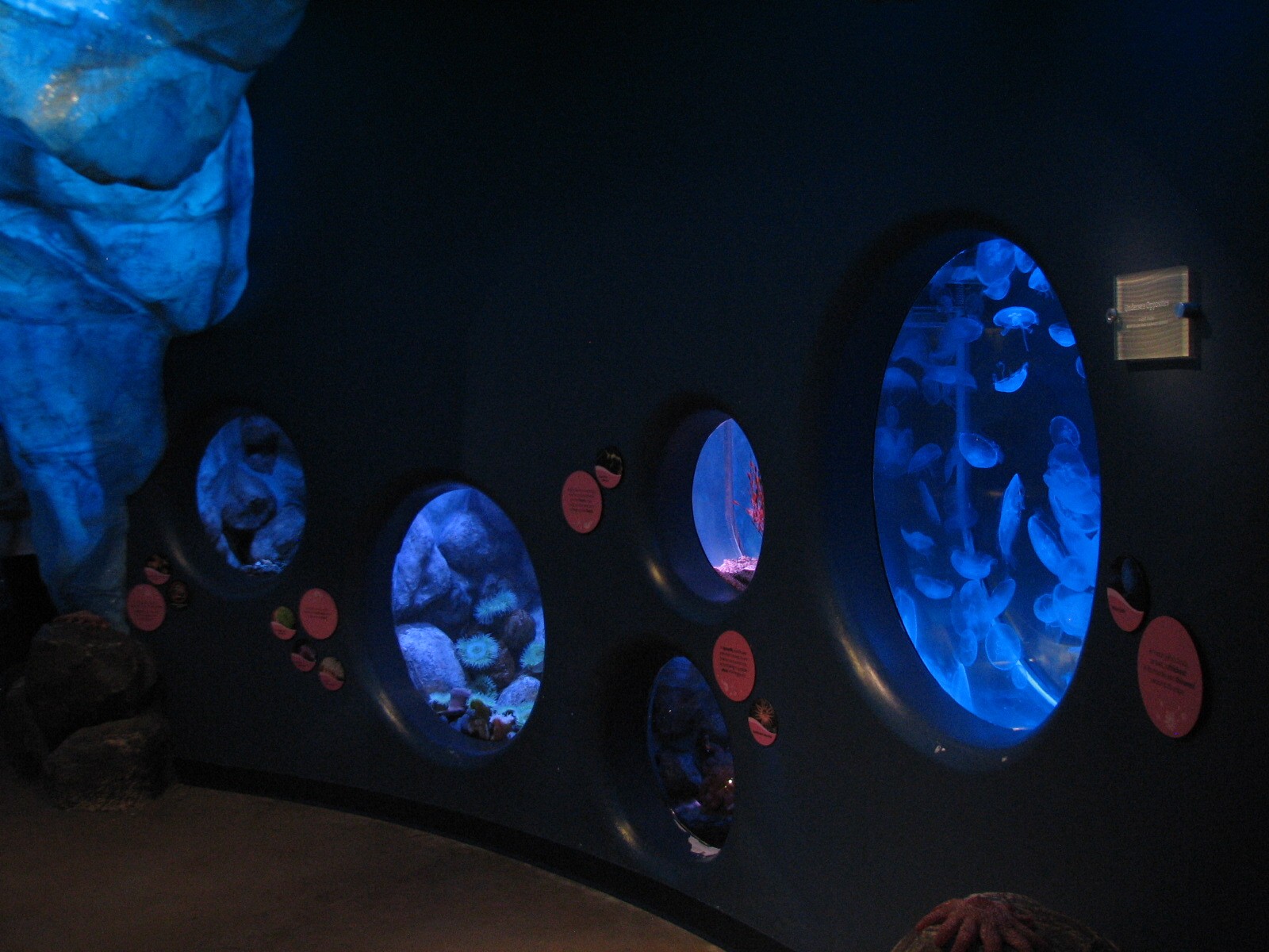 Oceanarium - Icy North - Small Aquariums