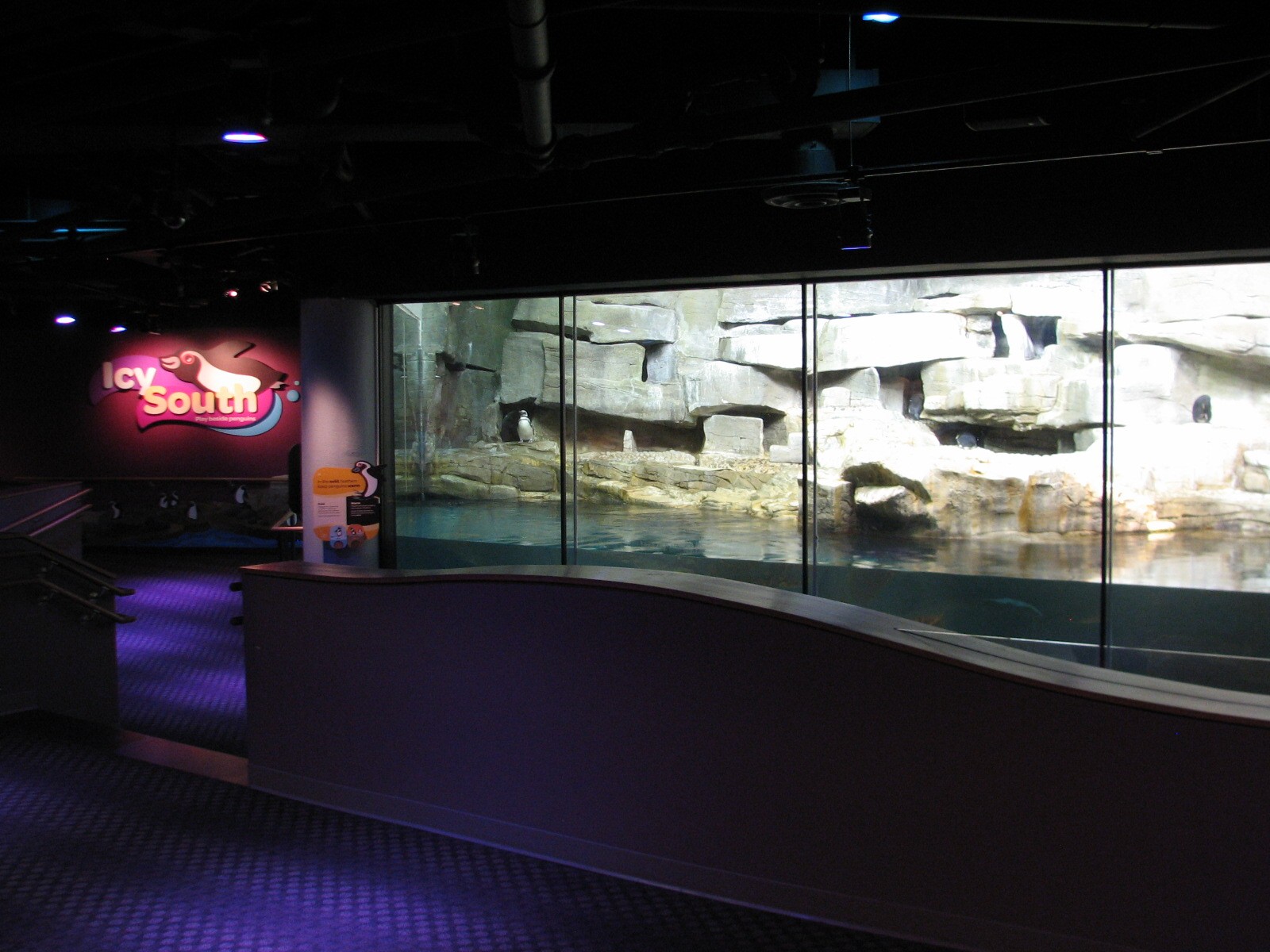 Oceanarium - Icy South - Penguin Exhibit
