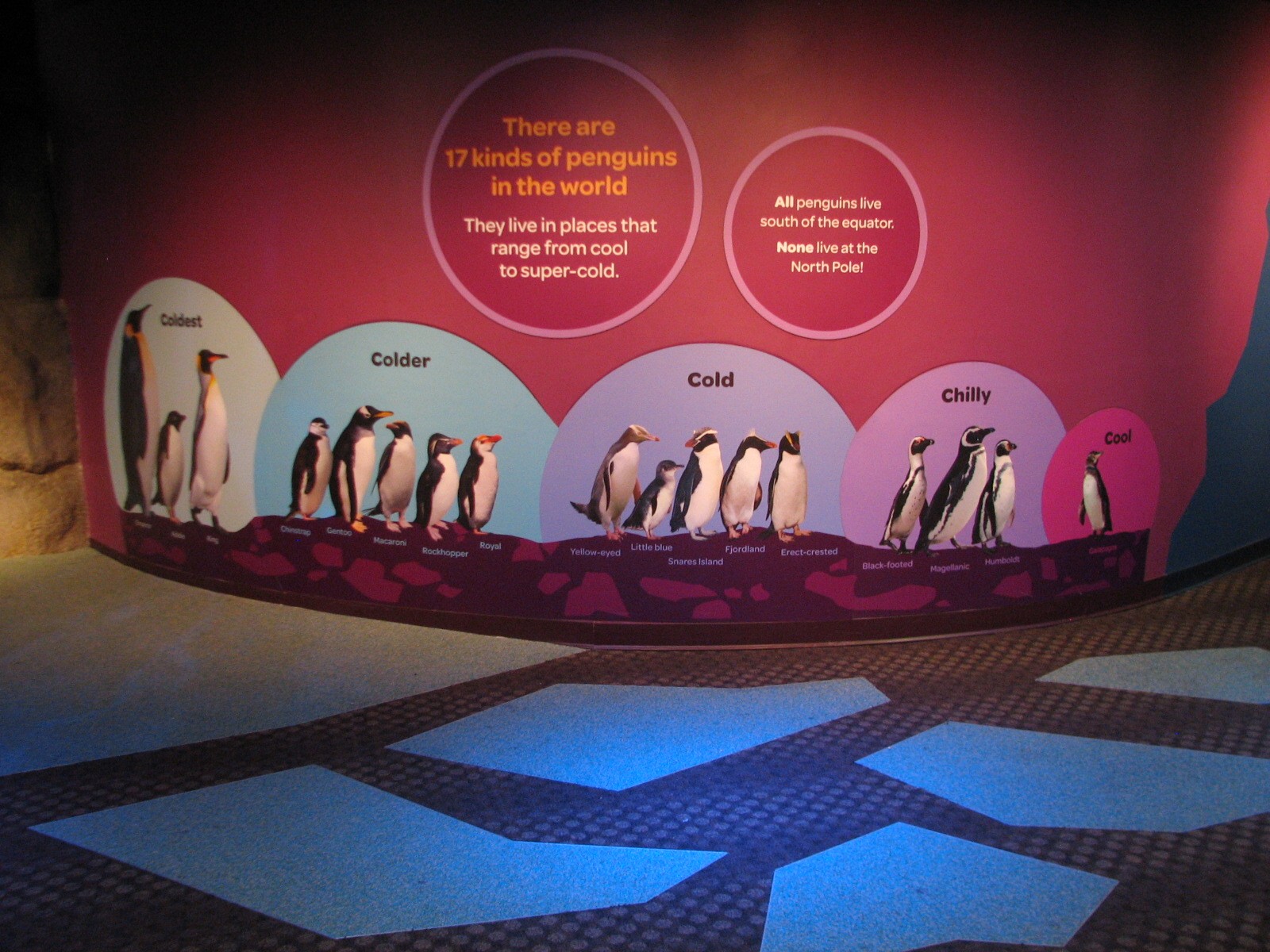 Oceanarium - Icy South - Play Area