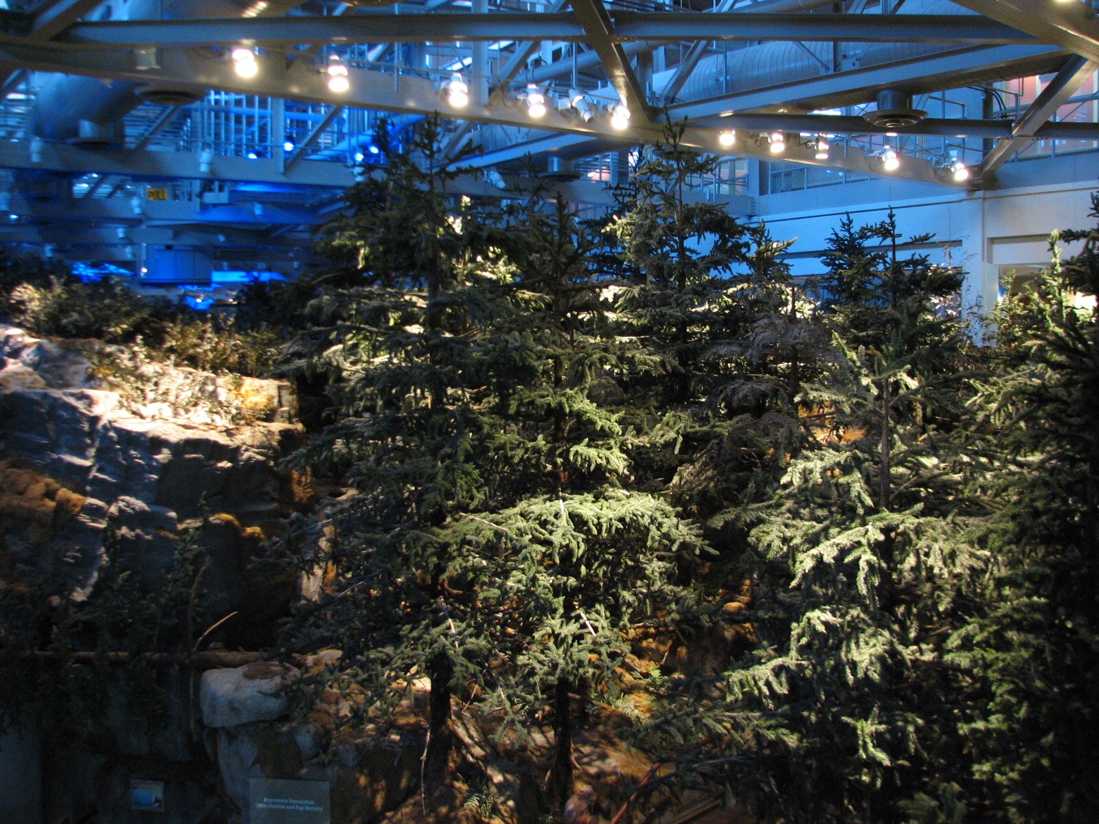 Oceanarium - Otter Trail Area