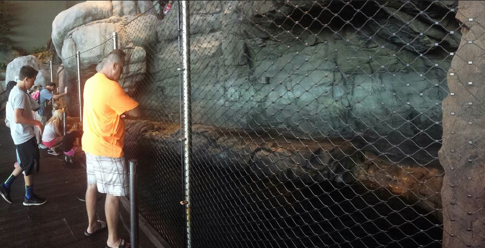 Oceanarium - Pacific Northwest - Sea Lion Cove