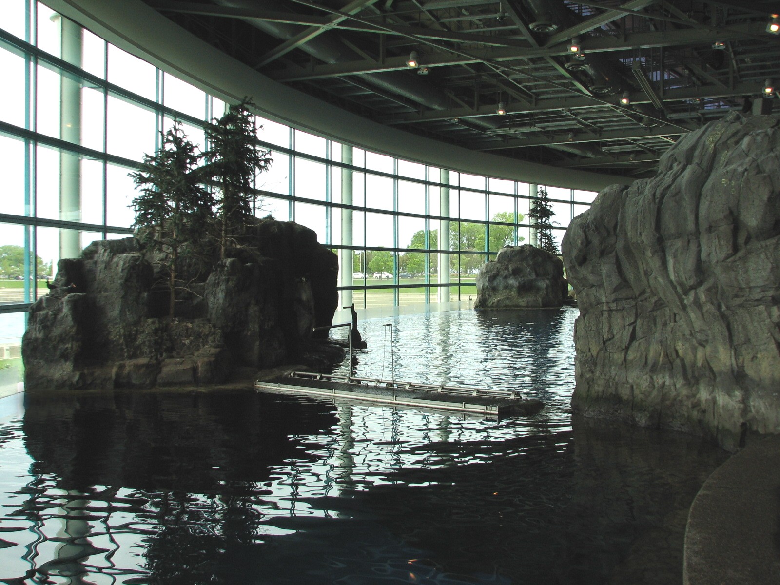 Oceanarium - Pacific White-sided Dolphin Exhibit - Holding Area