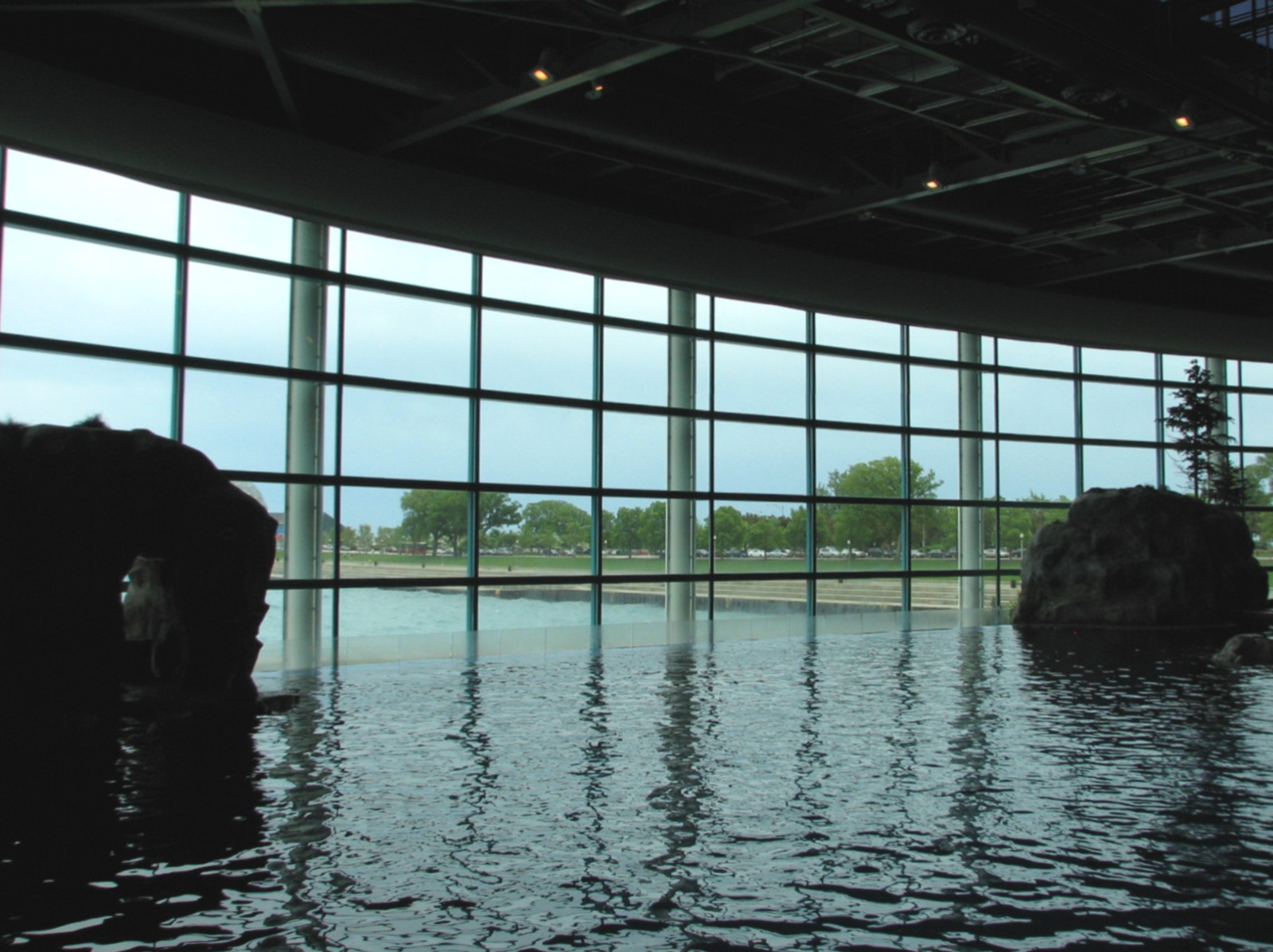Oceanarium - Pacific White-sided Dolphin Exhibit - Surface View