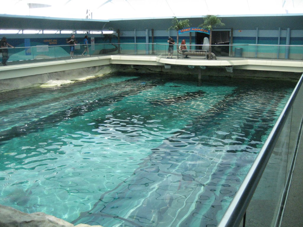Oceanarium Pool with Dugongs