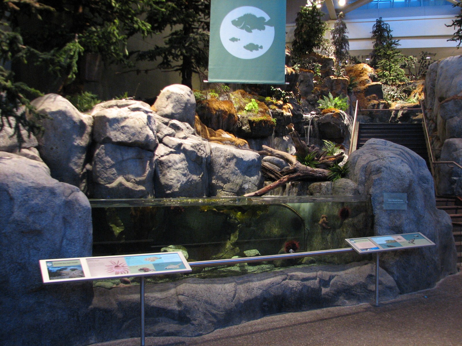 Oceanarium - River Mouth Estuary Exhibit