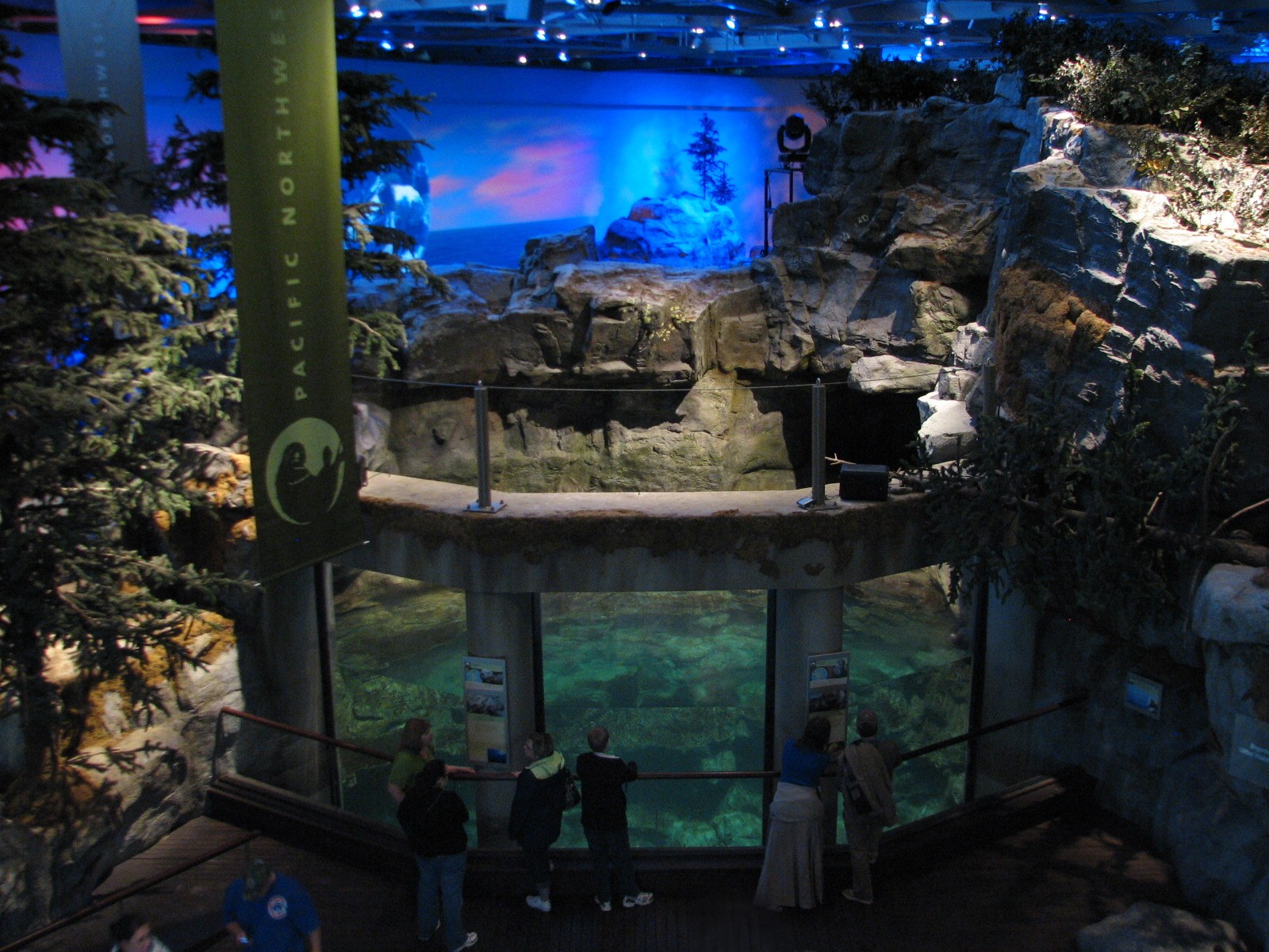 Oceanarium - Sea Otter Exhibit - Upper Viewing Area