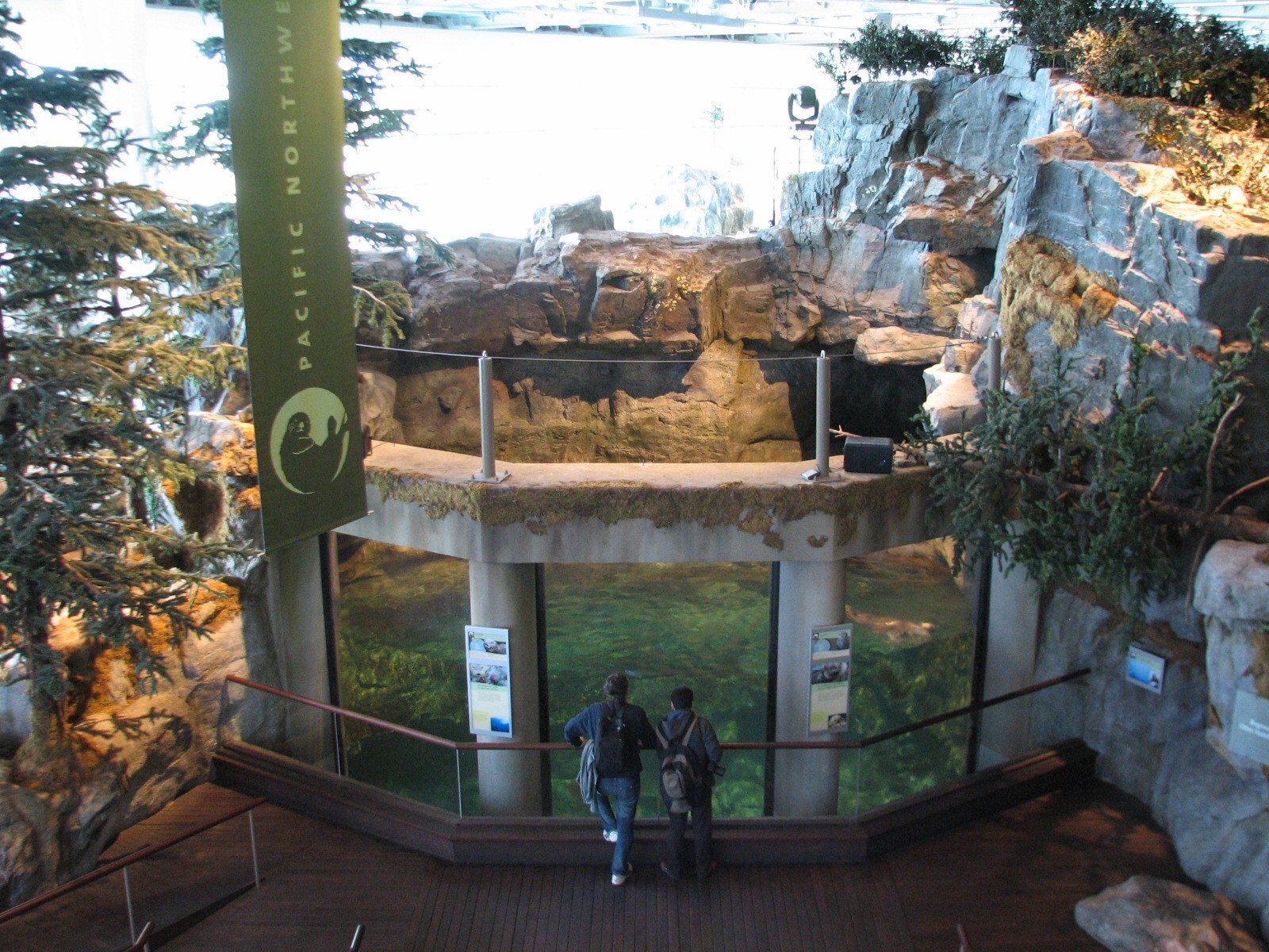 Oceanarium - Sea Otter Exhibit - Upper Viewing Area