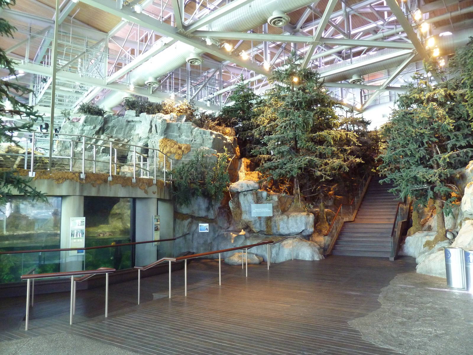 Oceanarium - Sea Otter Exhibit