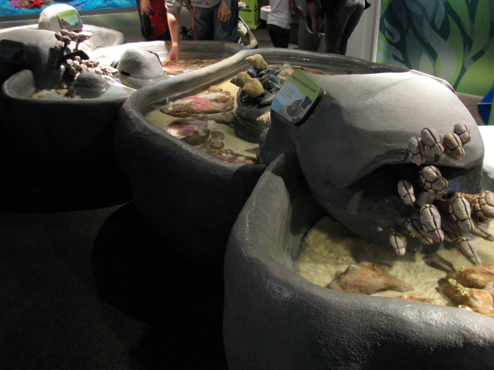 Oceanarium - Shallow Ocean - Play Area