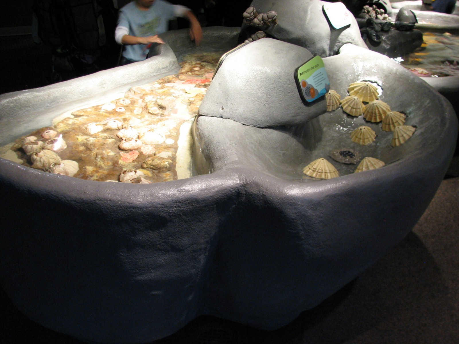 Oceanarium - Shallow Ocean - Play Area