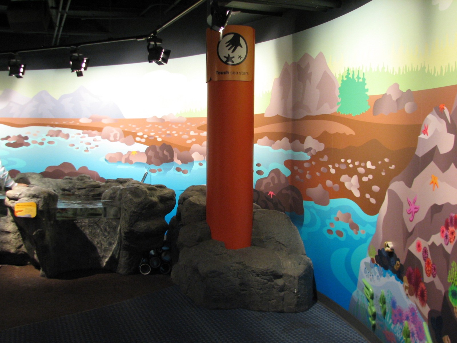 Oceanarium - Shallow Ocean - Touch Tank