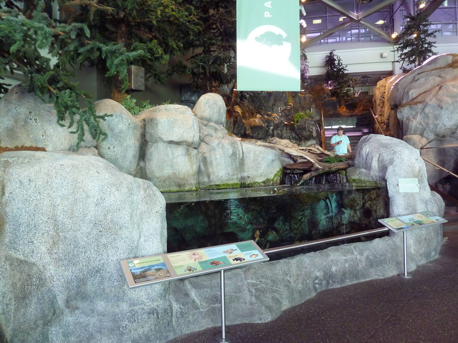 Oceanarium - Tide Pool