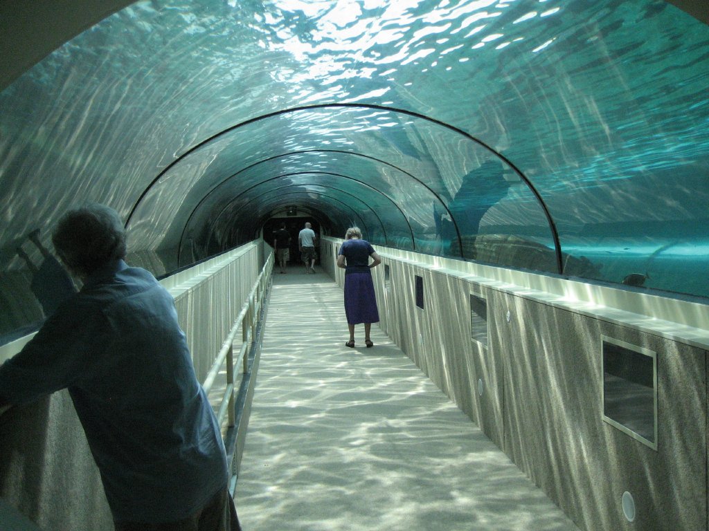 Oceanarium tunnel