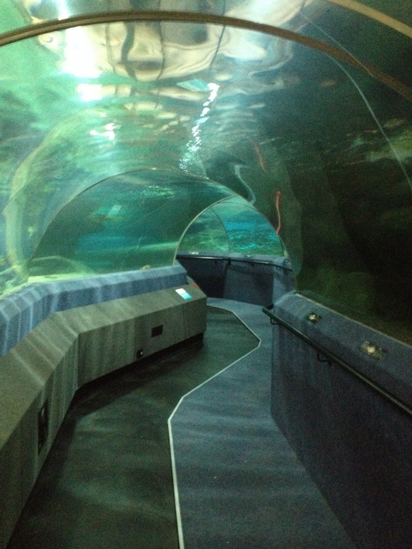 Oceanarium tunnel