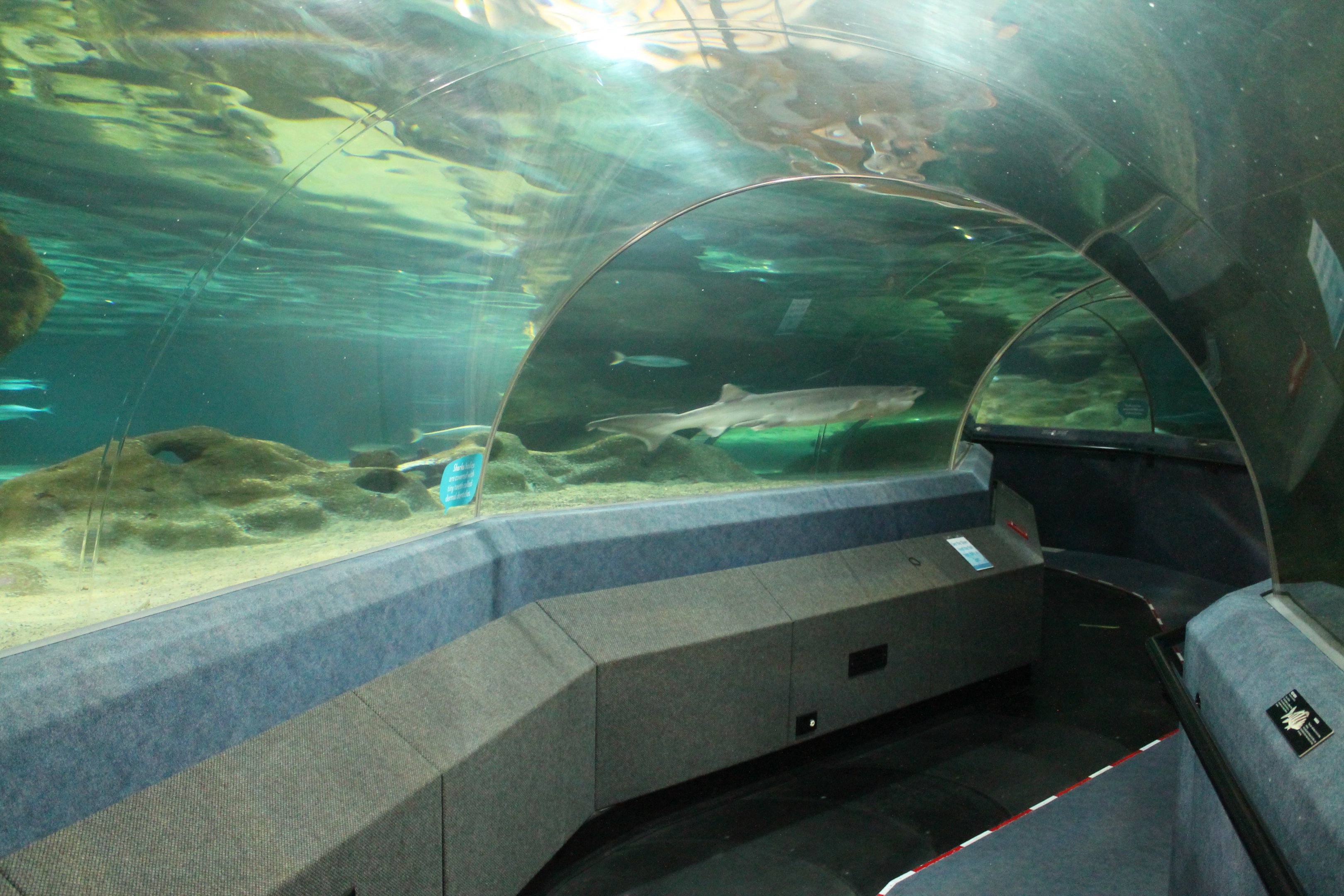 Oceanarium tunnel