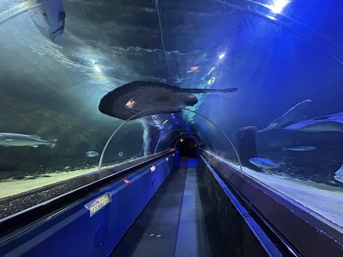 Oceanarium Tunnel