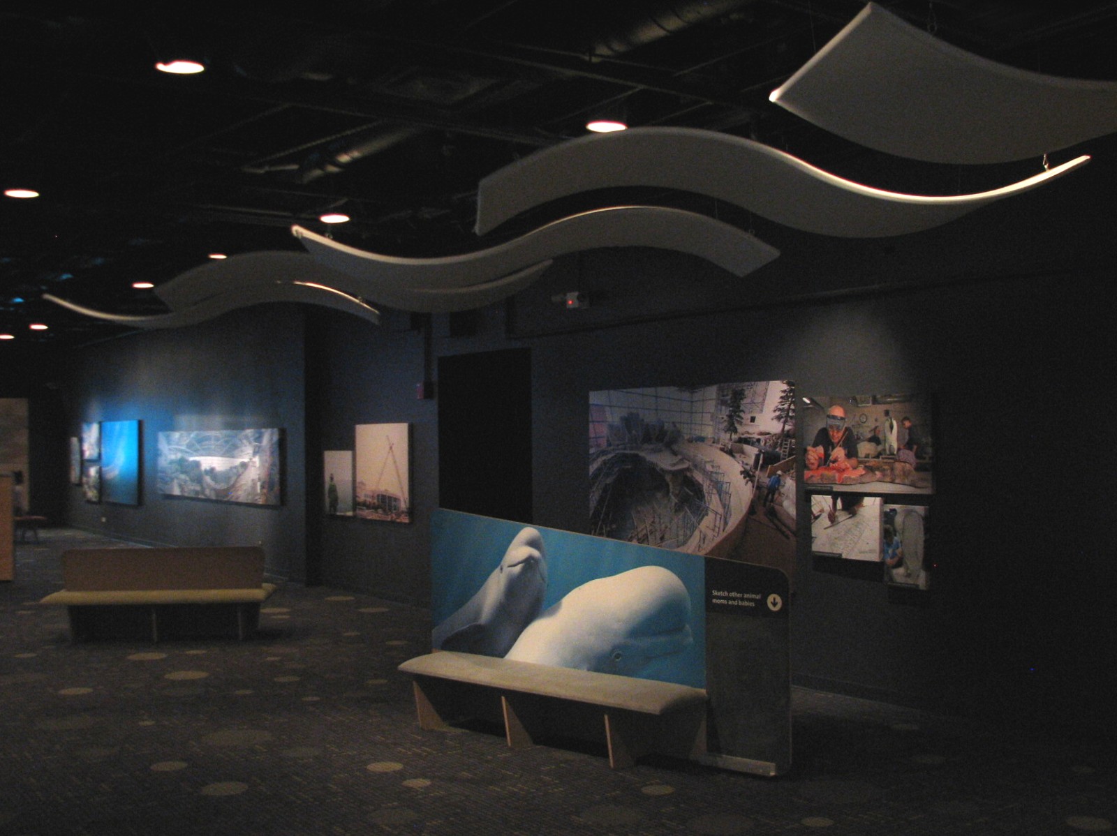 Oceanarium - Welcome Center