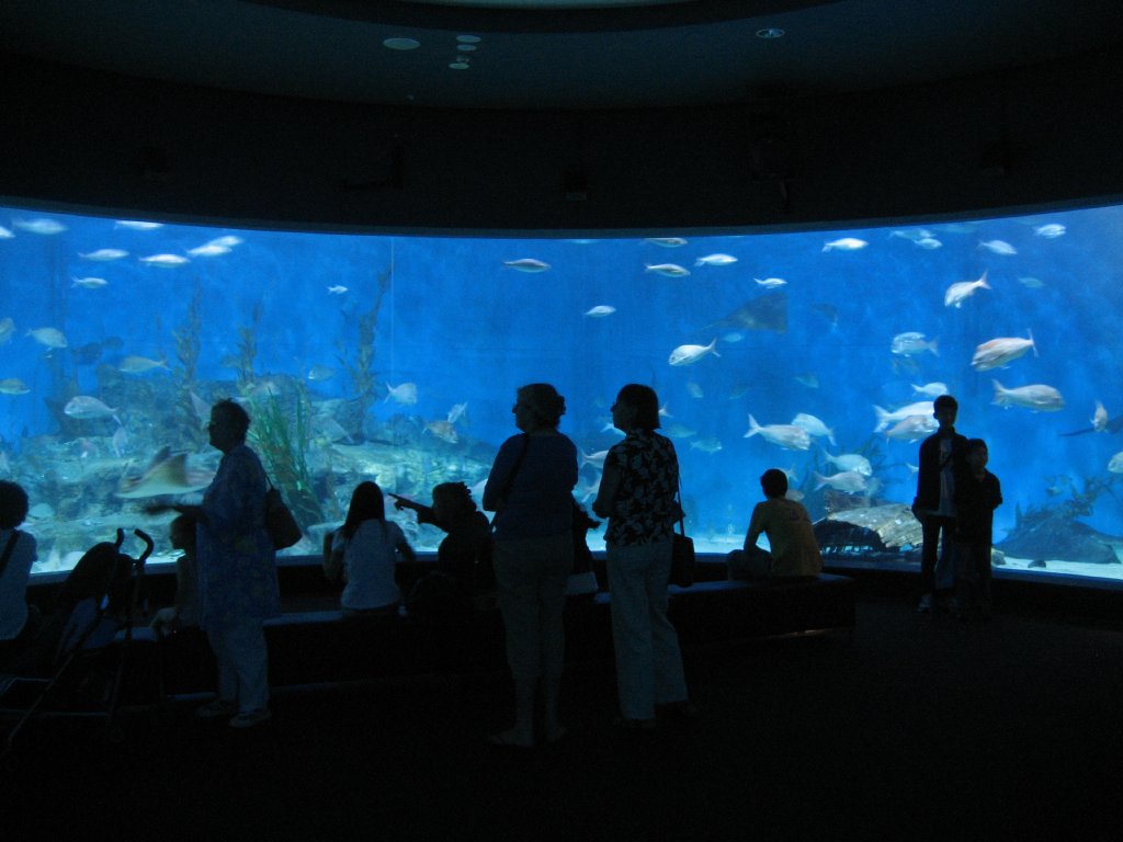 Oceanarium