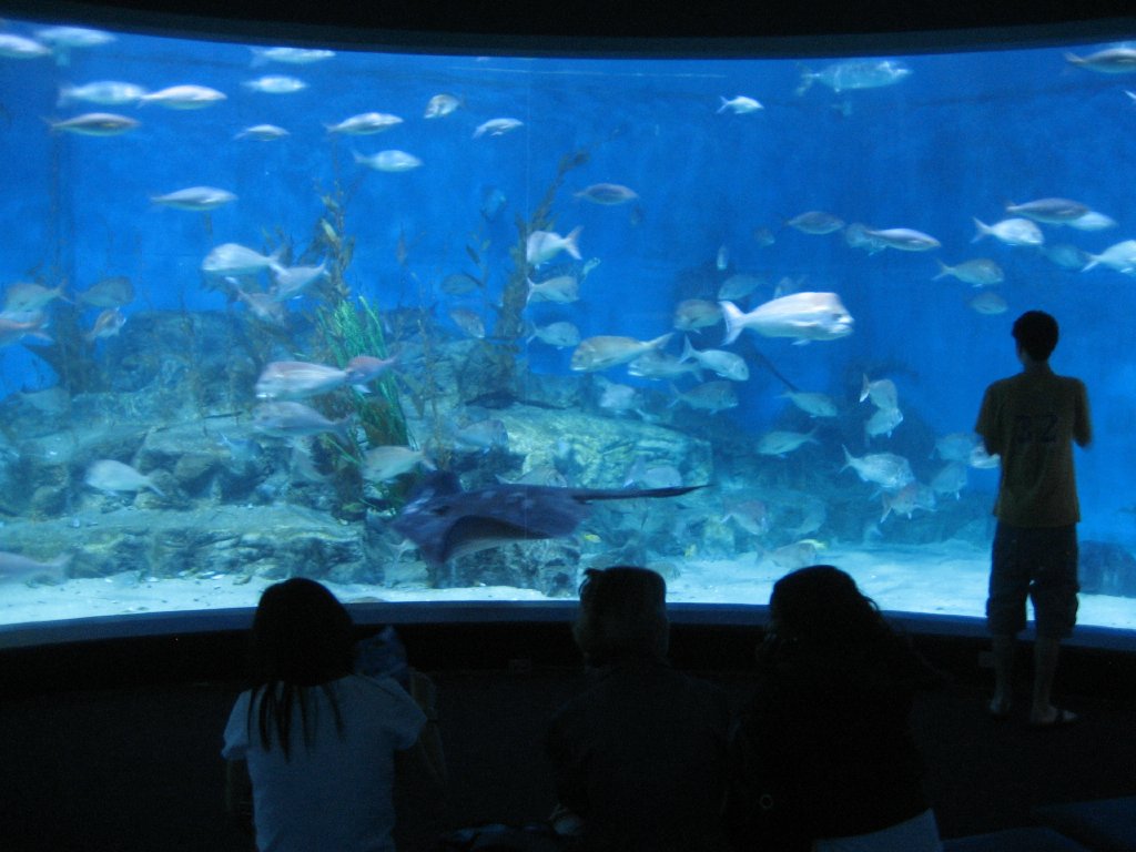 Oceanarium