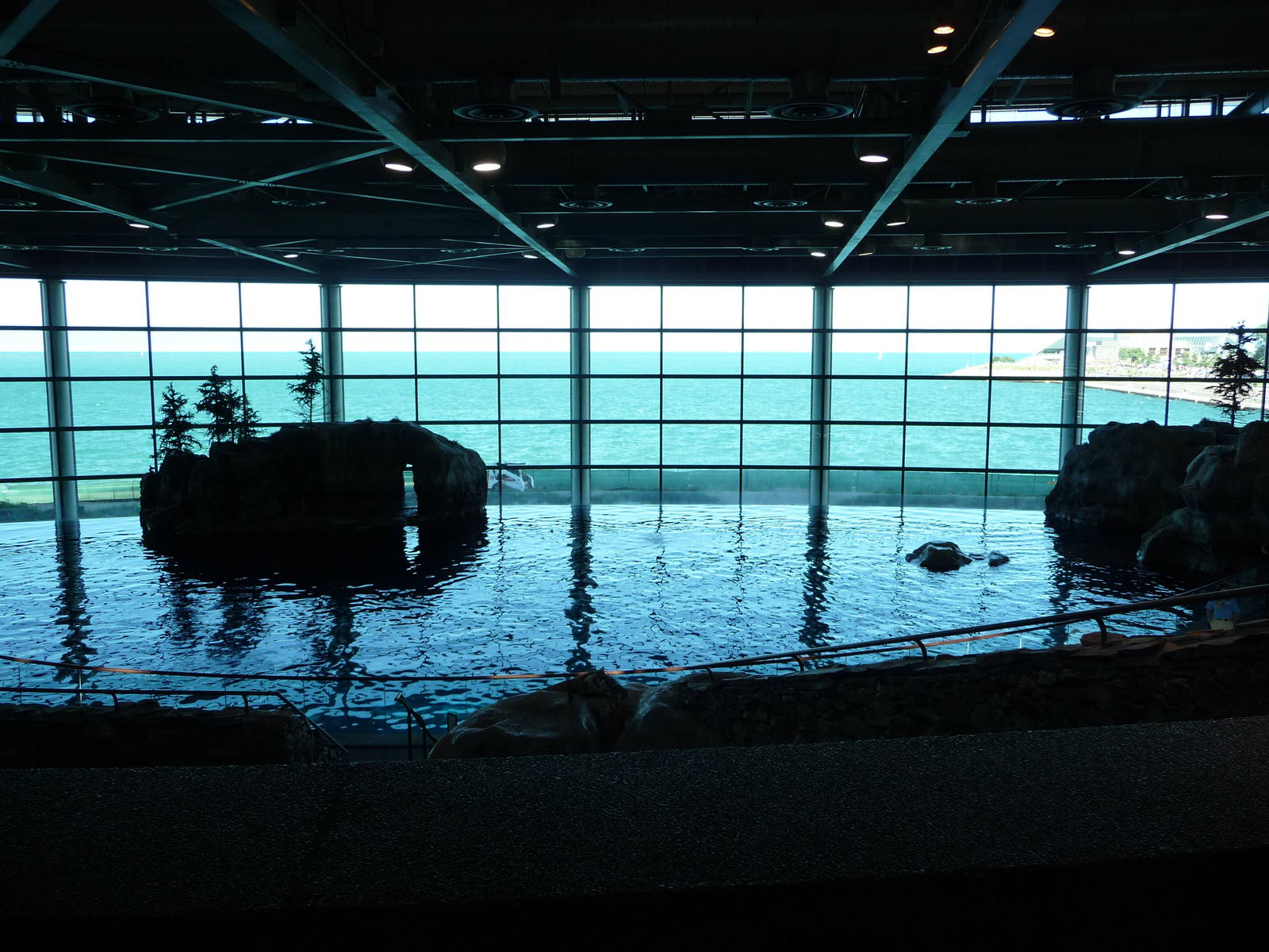 Oceanarium