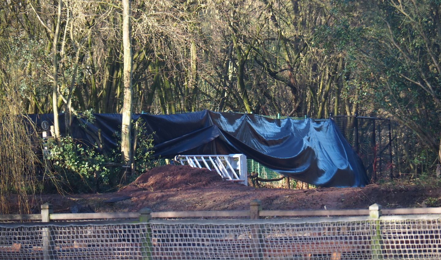 Oceania area renovation - Construction work near the cassowary exhibit, 2022-01-30