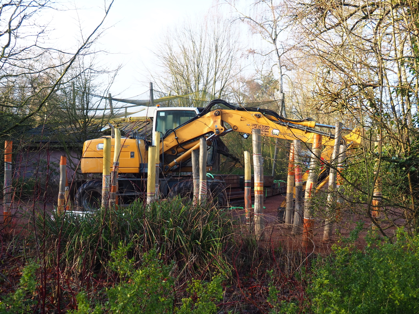 Oceania area renovation - Excavator and wood for construction, 2022-01-30